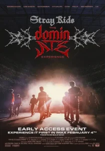 Stray Kids: The dominATE Experience
