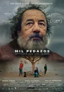 Mil pedazos